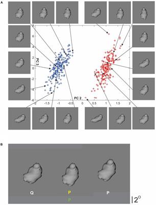 Making Expert Decisions Easier to Fathom: On the Explainability of Visual Object Recognition Expertise